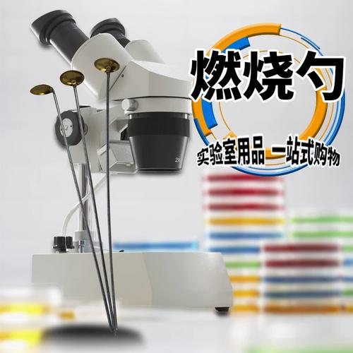 化学实验利器 铜头燃烧匙——多功能的燃烧反应与加热工具